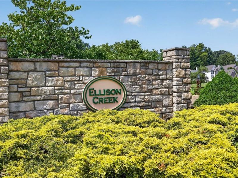10803 Ellison Creek Drive, Concord Township, OH 44077 Photo 50