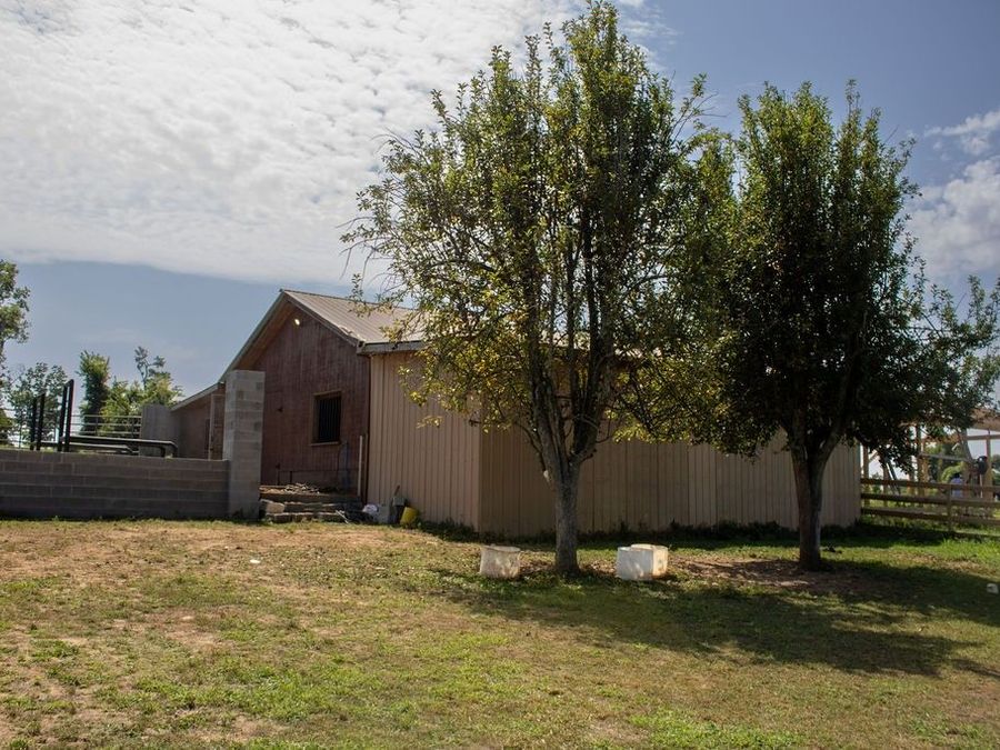 Property Image 10