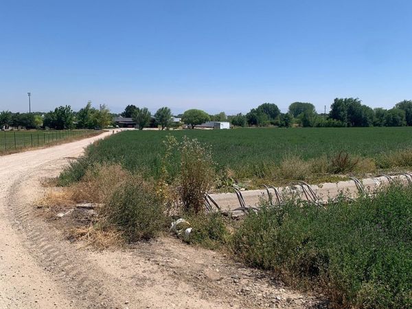 1064 N Big Tree Lane, Kuna, ID 83634