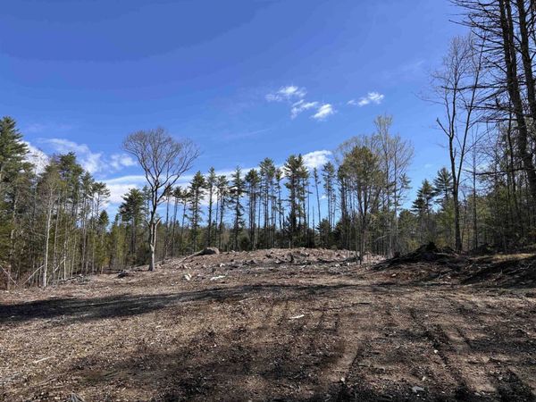 L:64 & 65 Old Turnpike Road, Richmond, NH 03470