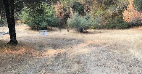 4440 Cosumnes View Trl, Placerville, CA 95667 Photo