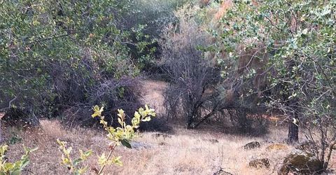 4440 Cosumnes View Trl, Placerville, CA 95667 Photo