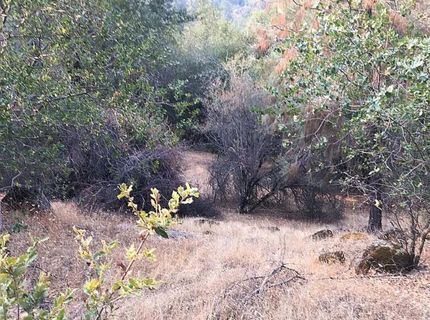 4440 Cosumnes View Trl, Placerville, CA 95667 Photo