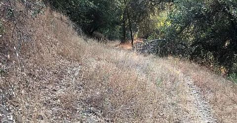4440 Cosumnes View Trl, Placerville, CA 95667 Photo