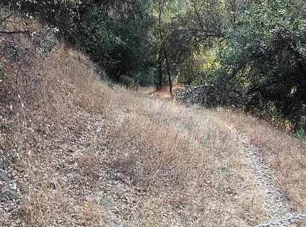 4440 Cosumnes View Trl, Placerville, CA 95667 Photo