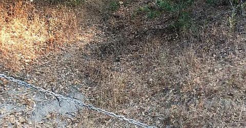 4440 Cosumnes View Trl, Placerville, CA 95667 Photo