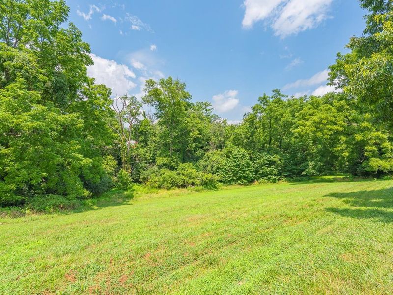 1169 Eagle Ridge Road, Miami Twp, OH 45150 Photo 19