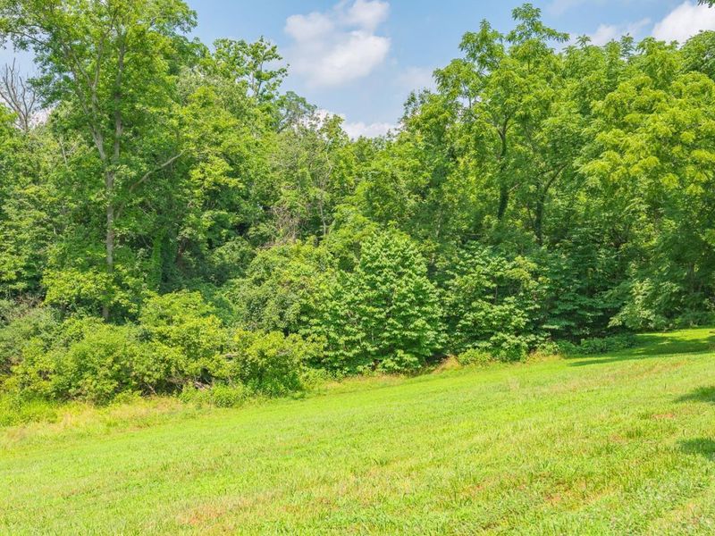1169 Eagle Ridge Road, Miami Twp, OH 45150 Photo 20