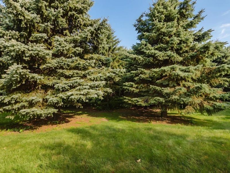 1803 Lake Forest Drive, Huron, OH 44870 Photo 67