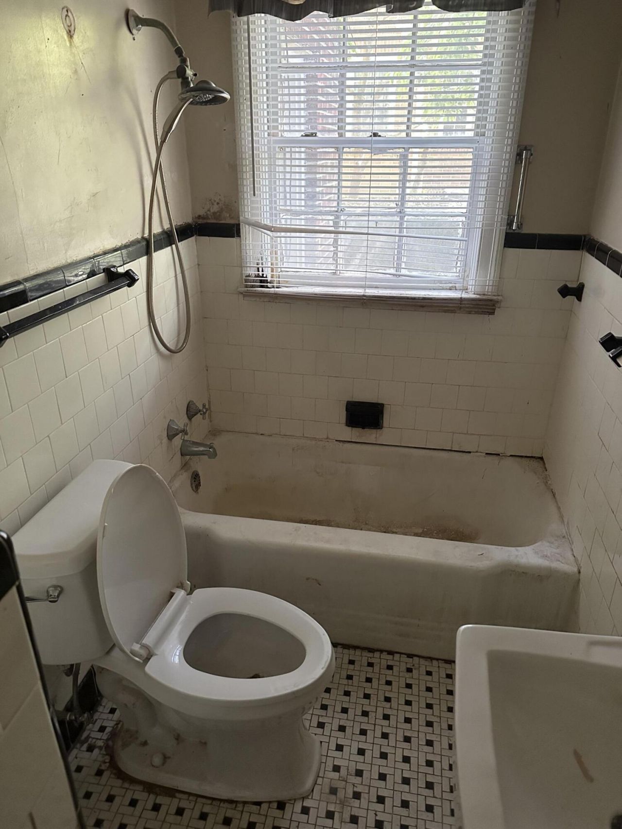 11 Oakdale Place Photo 10