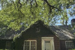 11 Oakdale Place photo 4