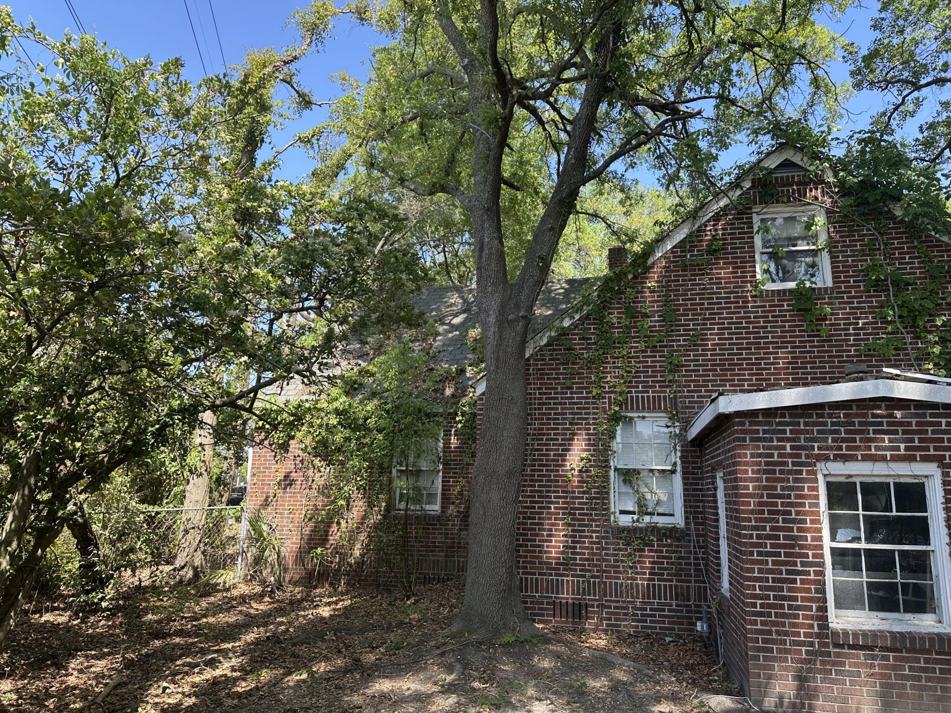 11 Oakdale Place Photo 24
