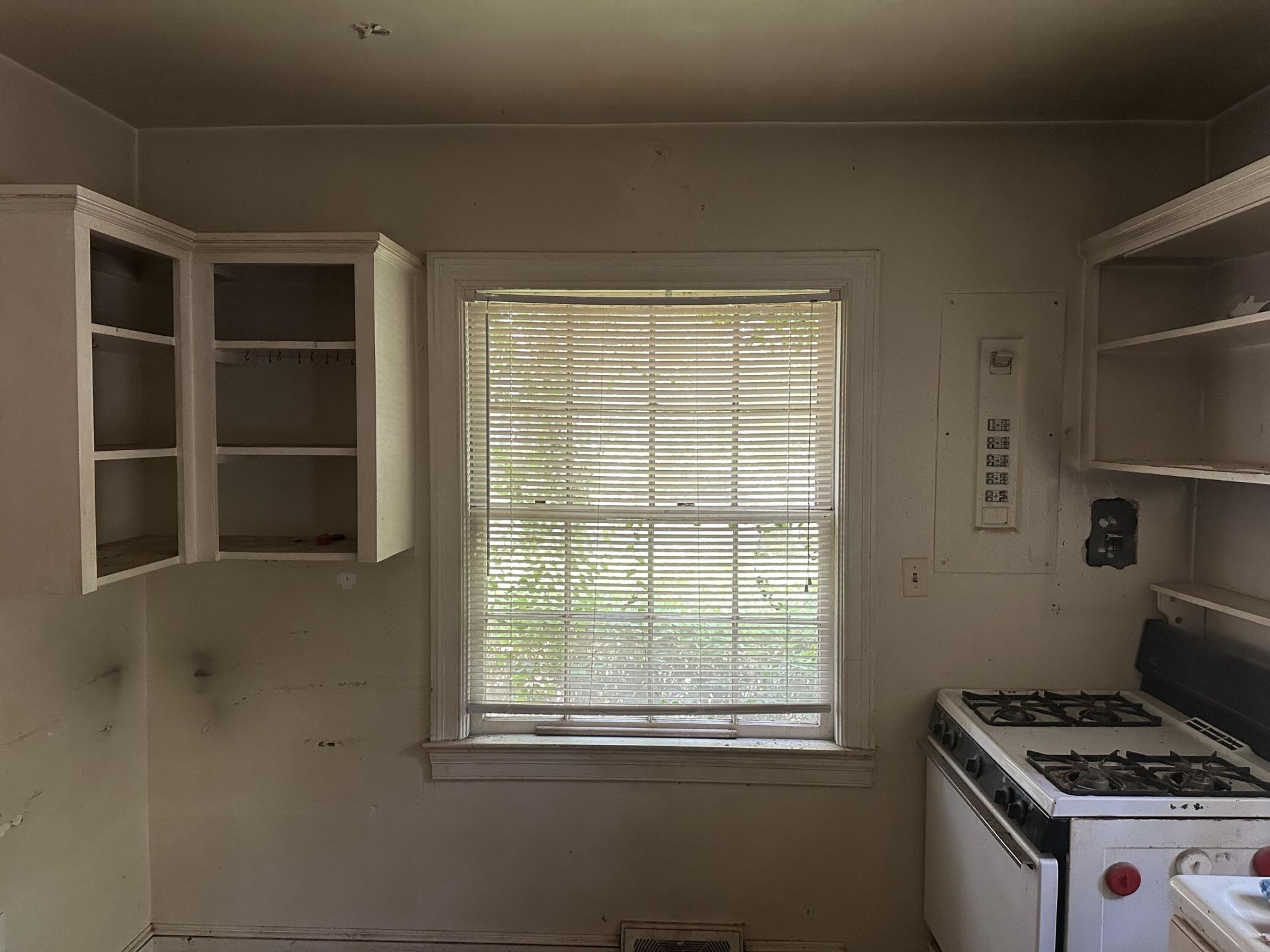 11 Oakdale Place Photo 8