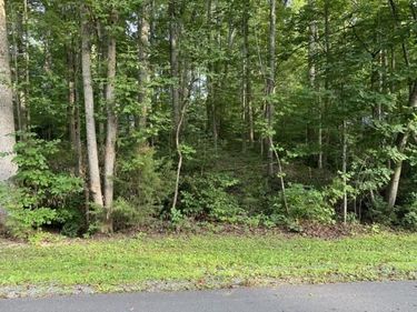 TBD ELLIS DR, Unit 637, LOUISA, VA 23093