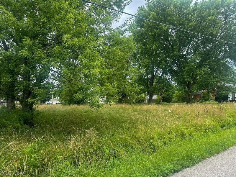 Longwood Avenue, Niles, OH 44446 Photo 5