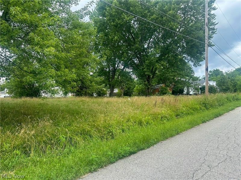 Longwood Avenue, Niles, OH 44446 Photo 6