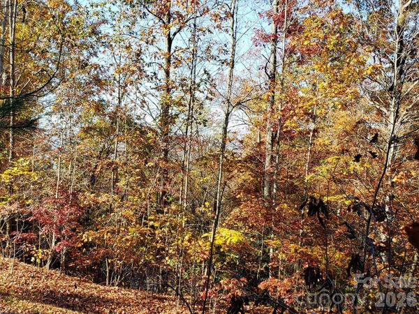 TBD Top Oaks Lane , Pisgah Forest, NC 28768