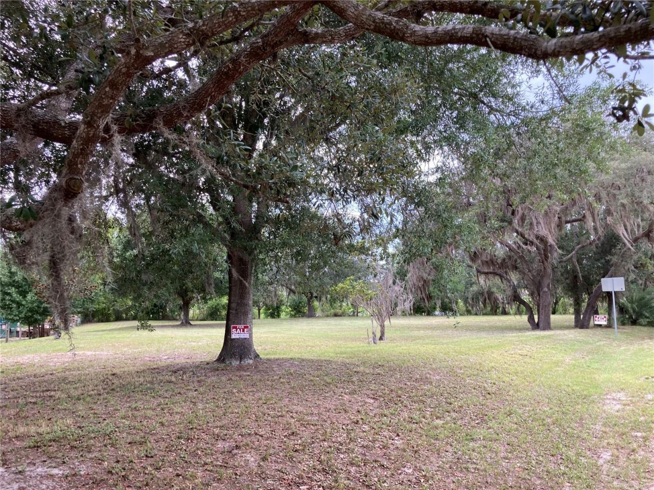 9000 Laws Road, Clermont, FL 34714 Photo