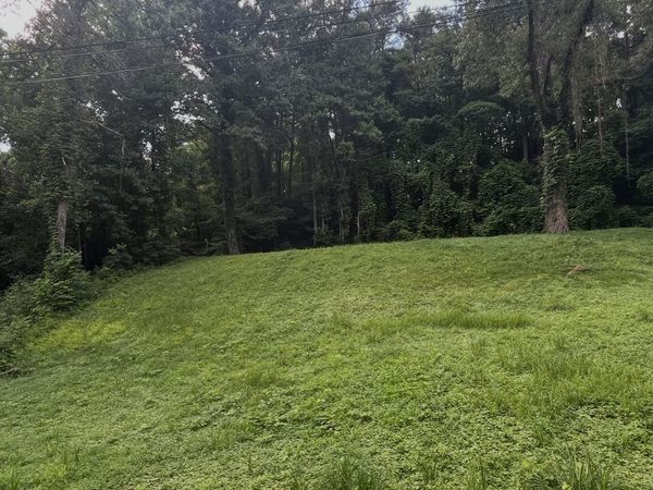 59 Bradley Street, Blue Ridge, GA 30513
