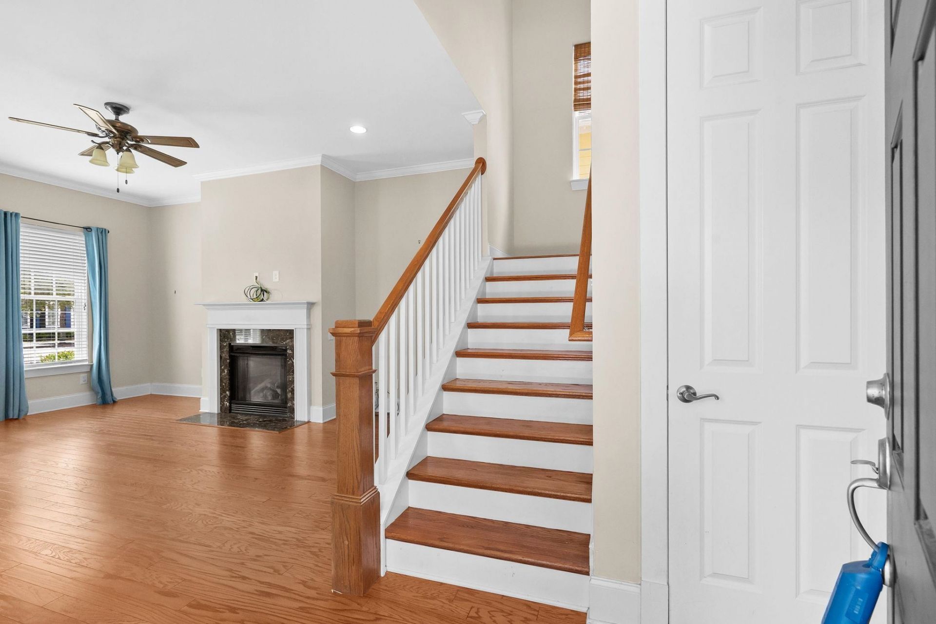3384 Pampas Dr.  Photo 10