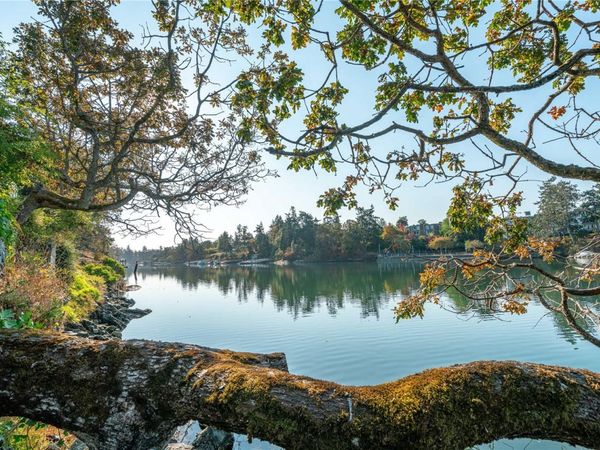 69 Gorge Rd W, Unit #101, Saanich, BC V9A 1L9