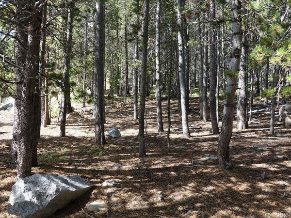 00 Upper Forest Rd , Idaho Springs, CO 80452