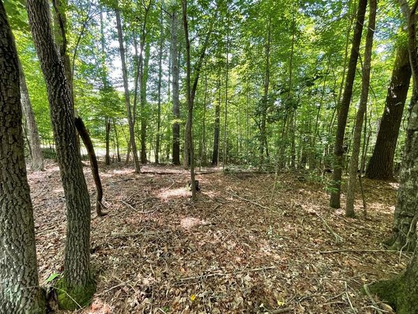 Lot 15 Summit Way, Blairsville, GA 30512