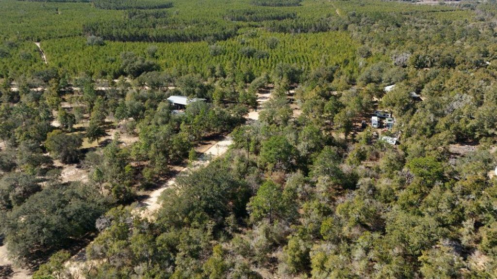 0 Stewart Lake Road, Chipley, FL 32428 Photo