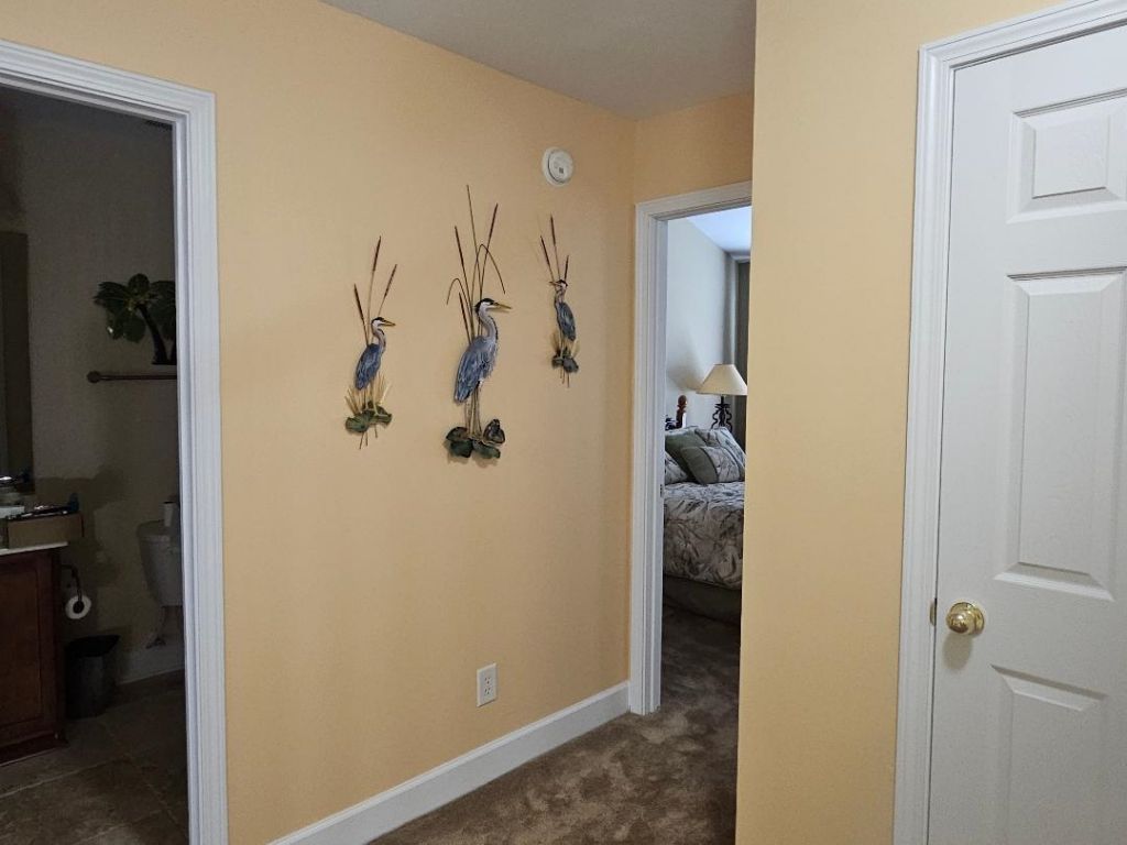 6172 Catalina Dr. Photo 20