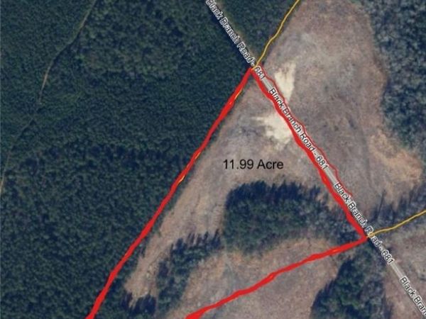 TBD4 Black Branch Road, Stony Creek, VA 23882