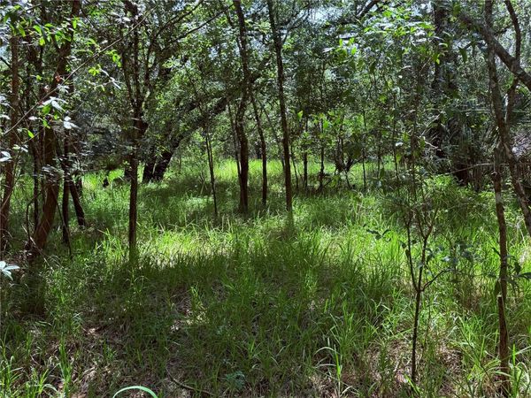NE RIVER RIDGE AVENUE , ARCADIA, FL 34266