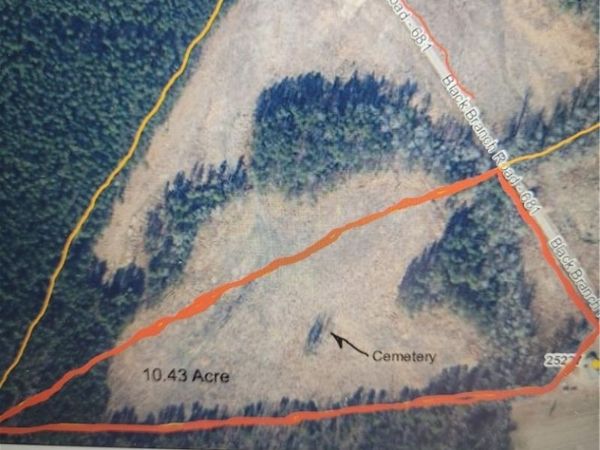 TBD3 Black Branch Road , Stony Creek, VA 23882