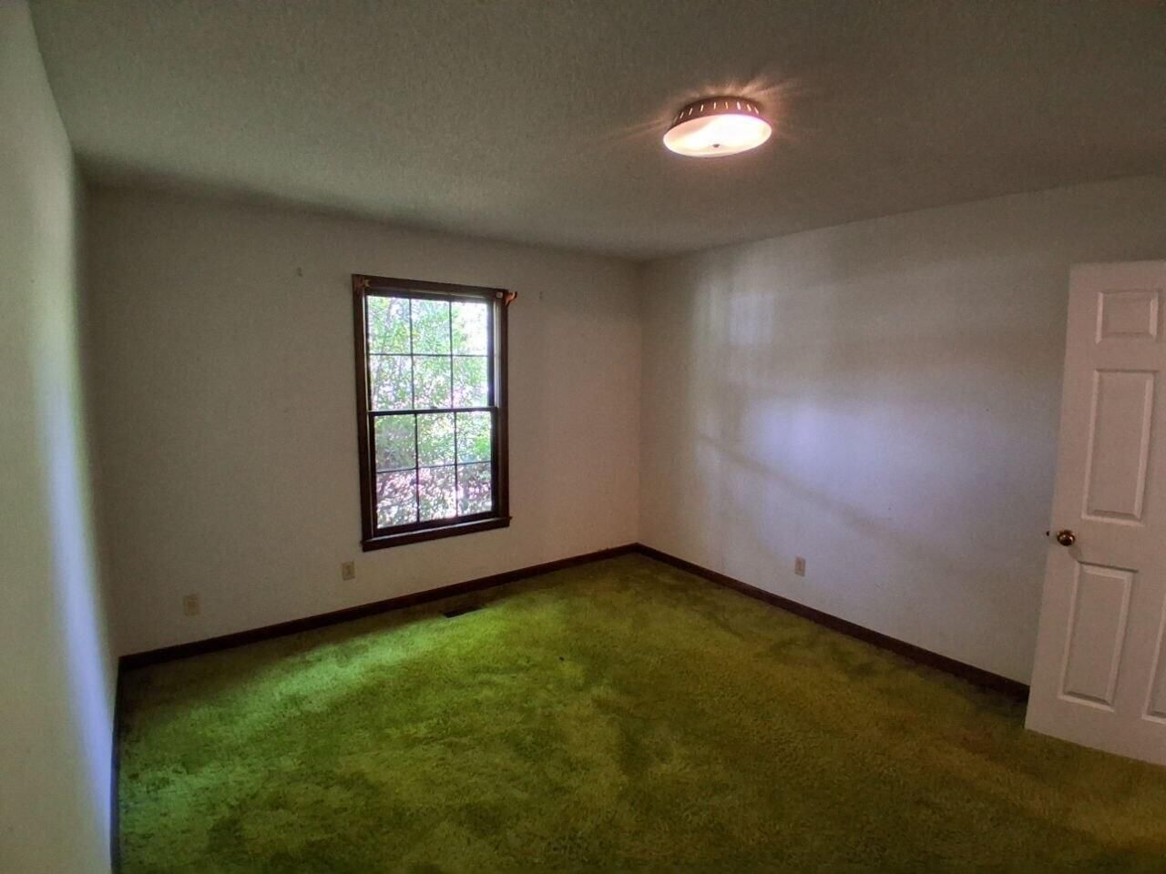 2112 W Carolina Avenue Photo 22