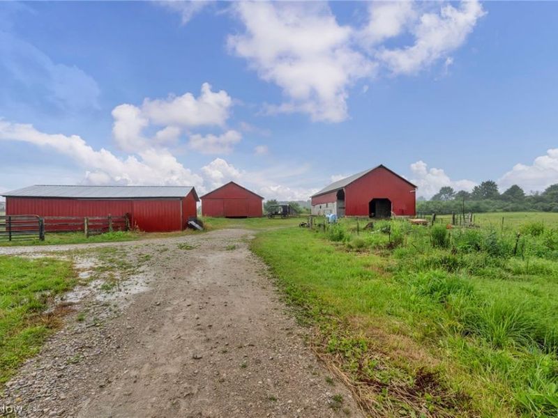 593 US Highway 224, Sullivan, OH 44880 Photo 13