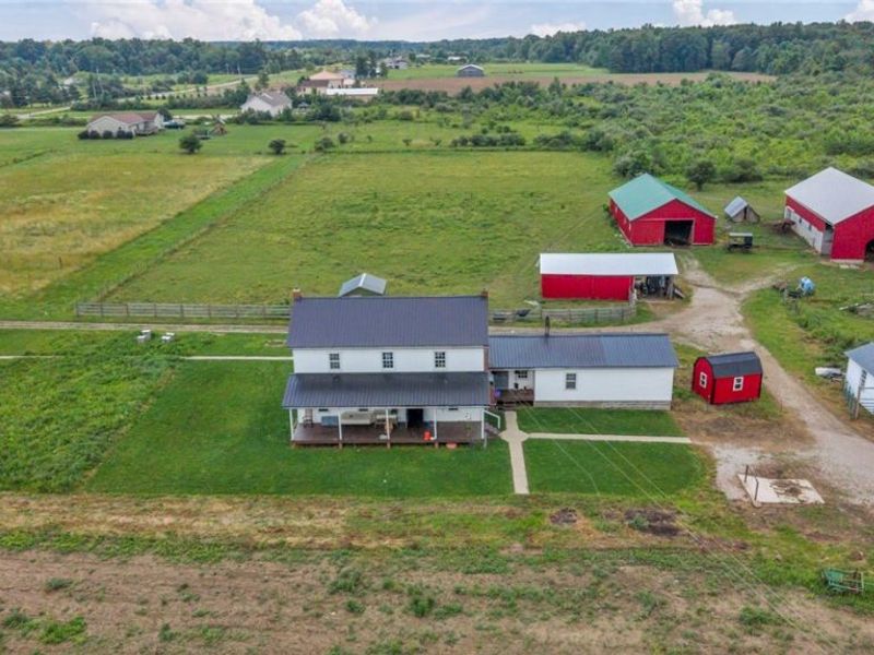 593 US Highway 224, Sullivan, OH 44880 Photo 5