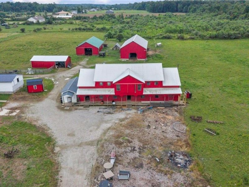 593 US Highway 224, Sullivan, OH 44880 Photo 8