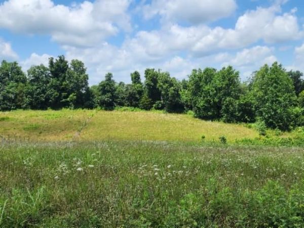 Lot 10 Rose Hill Rd, Red Boiling Springs, TN 37150