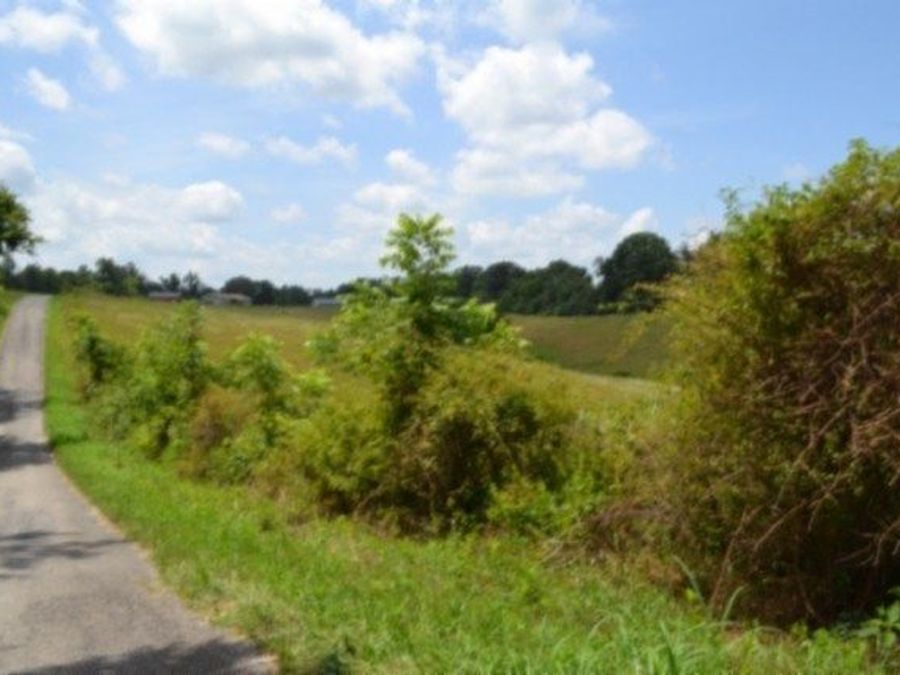 Property Image 21
