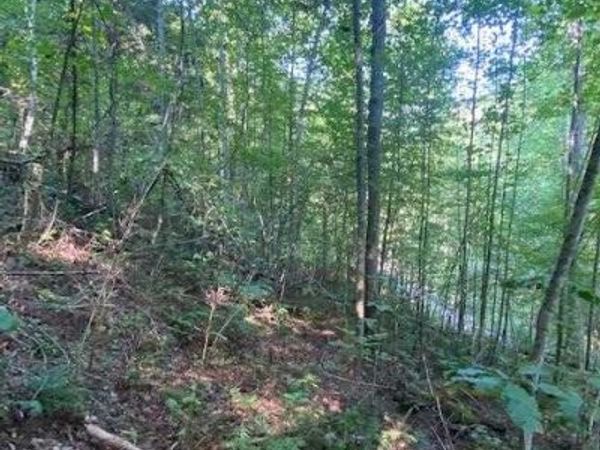 Lot 383 East Obey Lane, Wilder, TN 38589