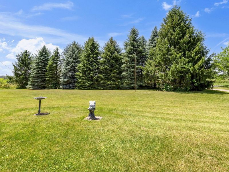 4625 County Rd 98, Mount Gilead, OH 43338 Photo 11