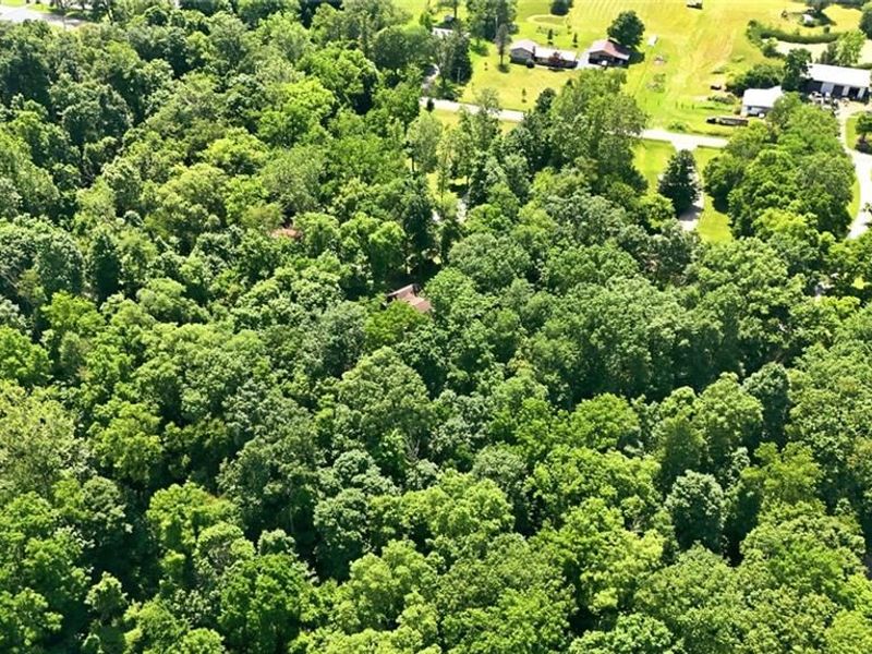 4142 Clayton Road, Brookville, OH 45309 Photo 77
