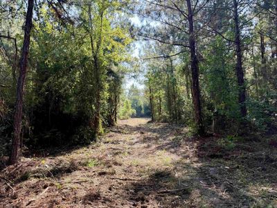 101.49 Acres - Epps Rd. , New Zion, SC 29111