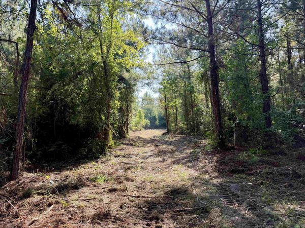 101.49 Acres - Epps Rd. , New Zion, SC 29111