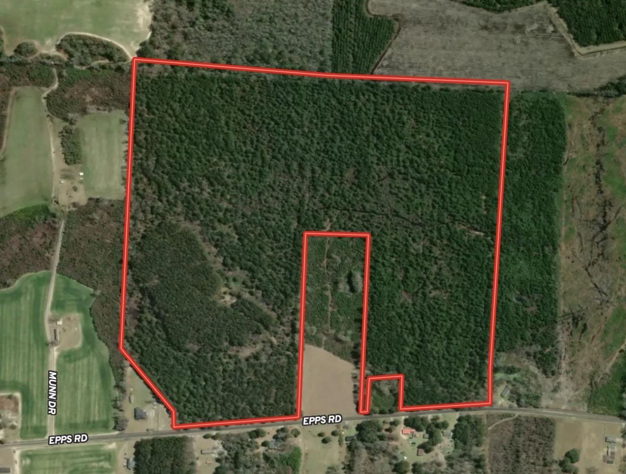 101.49 Acres - Epps Rd.  Photo 24