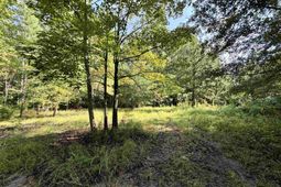 101.49 Acres - Epps Rd.  photo 4