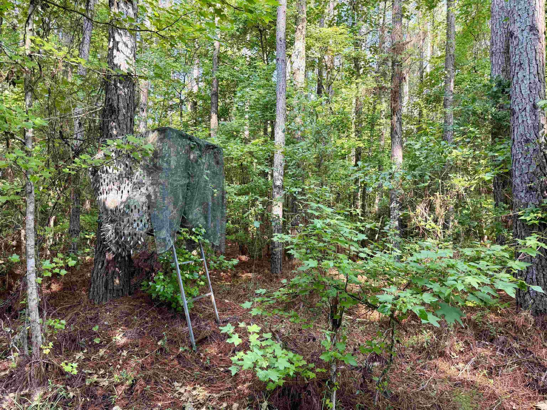 101.49 Acres - Epps Rd.  Photo 5