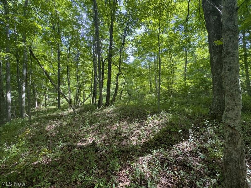 Tract 5 Jake Road, Patriot, OH 45658 Photo 12