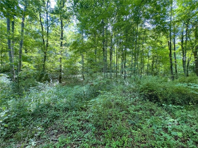 Tract 5 Jake Road, Patriot, OH 45658 Photo 13