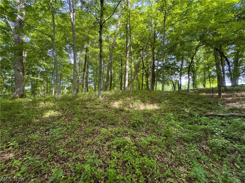 Tract 5 Jake Road, Patriot, OH 45658 Photo 14
