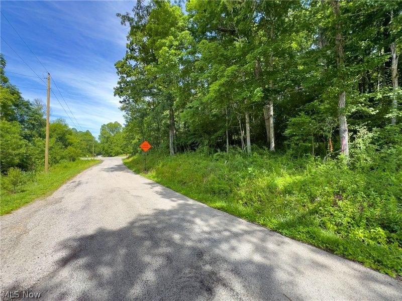 Tract 5 Jake Road, Patriot, OH 45658 Photo 5